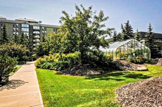 Photo 12: 203 4603 Varsity Drive NW in Calgary: Varsity Office for sale : MLS®# A1209166
