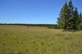 Photo 3: S 1/2 ENTERPRISE Road in 150 Mile House: Esler/Dog Creek Land for sale (Williams Lake)  : MLS®# R2715804