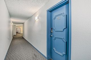 Photo 32: 401 930 18 Avenue SW in Calgary: Lower Mount Royal Apartment for sale : MLS®# A2014448