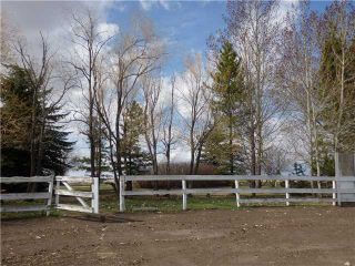 Photo 8: 29342 RANGE RD 275: Rural Mountain View County Residential Detached Single Family for sale : MLS®# C3614784