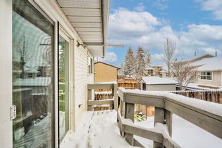 Photo 24: 224 Pinemill Mews NE in Calgary: Pineridge Semi Detached (Half Duplex) for sale : MLS®# A2023881