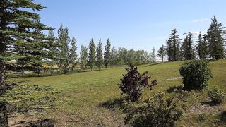 Photo 38: 402079 176 Street E: Rural Foothills County Detached for sale : MLS®# A1250564