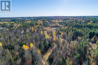 Photo 9: LUBITZ ROAD in Pembroke: Vacant Land for sale : MLS®# 1323850