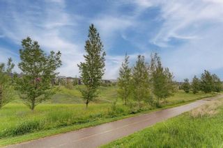 Photo 39: 502 428 Nolan Hill Drive NW in Calgary: Nolan Hill Row/Townhouse for sale : MLS®# A2145894