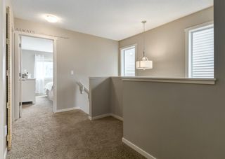Photo 24: 481 Evanston Drive NW in Calgary: Evanston Detached for sale : MLS®# A1126574