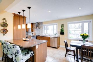 Photo 9: 907 Mapledale Place SE in Calgary: Maple Ridge Detached for sale : MLS®# A1232800