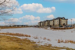 Photo 28: 8323 304 Mackenzie Way SW: Airdrie Apartment for sale : MLS®# A2021721