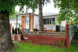 Photo 46: 6235 18A Street SE in Calgary: Ogden Detached for sale : MLS®# A1234369