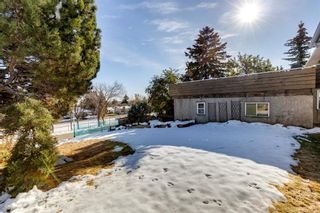 Photo 48: 5064 Nesbitt Road NW in Calgary: North Haven Detached for sale : MLS®# A2008678