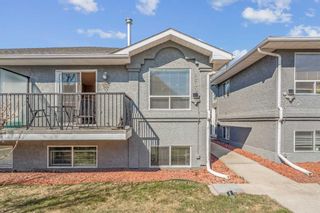 Photo 3: 1 2209 28 Street SW in Calgary: Killarney/Glengarry Semi Detached (Half Duplex) for sale : MLS®# A2125411