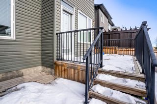 Photo 50: 12 Evansfield Place NW in Calgary: Evanston Detached for sale : MLS®# A2012627