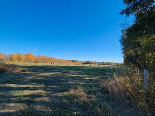 Photo 15: NW-4-67-19-4 , Boyle (Alpac): Rural Athabasca County Rural Land/Vacant Lot for sale : MLS®# E4264461