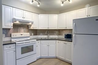 Photo 10: 302 2000 Applevillage Court in Calgary: Applewood Park Apartment for sale : MLS®# A1228911