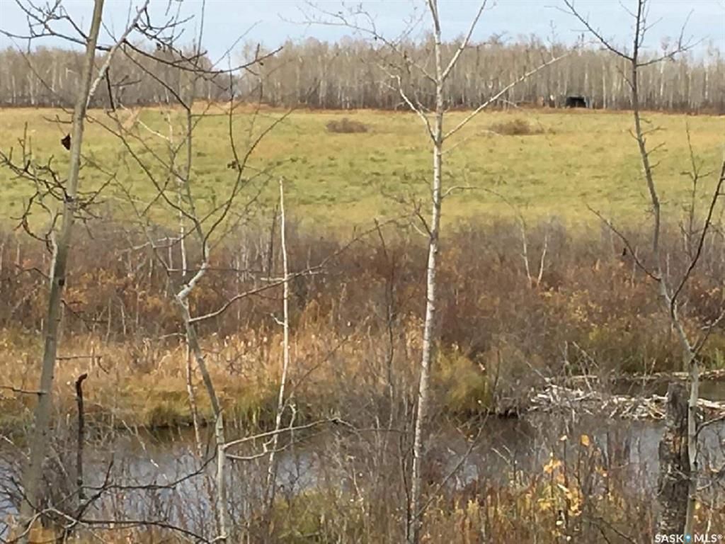 Main Photo: Acreage- adjacent to South Bay Turtle Lake in Turtle Lake: Lot/Land for sale : MLS®# SK914043