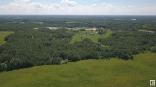 Photo 4: 1330 16A Hwy: Rural Parkland County Rural Land/Vacant Lot for sale : MLS®# E4300868