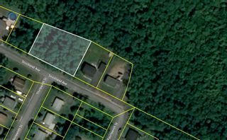 Photo 1: Lot A14-15 Strickland Avenue in Trenton: 107-Trenton, Westville, Pictou Vacant Land for sale (Northern Region)  : MLS®# 202303331