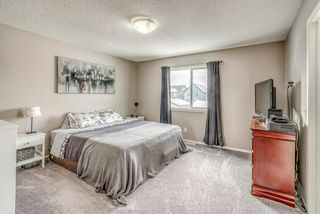 Photo 22: 93 Skyview Ranch Boulevard NE in Calgary: Skyview Ranch Detached for sale : MLS®# A1182298