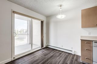 Photo 7: 3209 1620 70 Street SE in Calgary: Applewood Park Apartment for sale : MLS®# A1116068