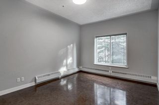 Photo 17: 234 10 Discovery Ridge Close SW in Calgary: Discovery Ridge Apartment for sale : MLS®# A1176936