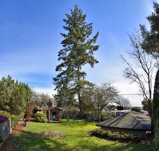 Photo 4: 4264 WINNIFRED Street in Burnaby: South Slope House for sale (Burnaby South)  : MLS®# R2148531
