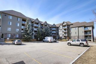 Photo 38: 1308 1308 Millrise Point SW in Calgary: Millrise Apartment for sale : MLS®# A1089806