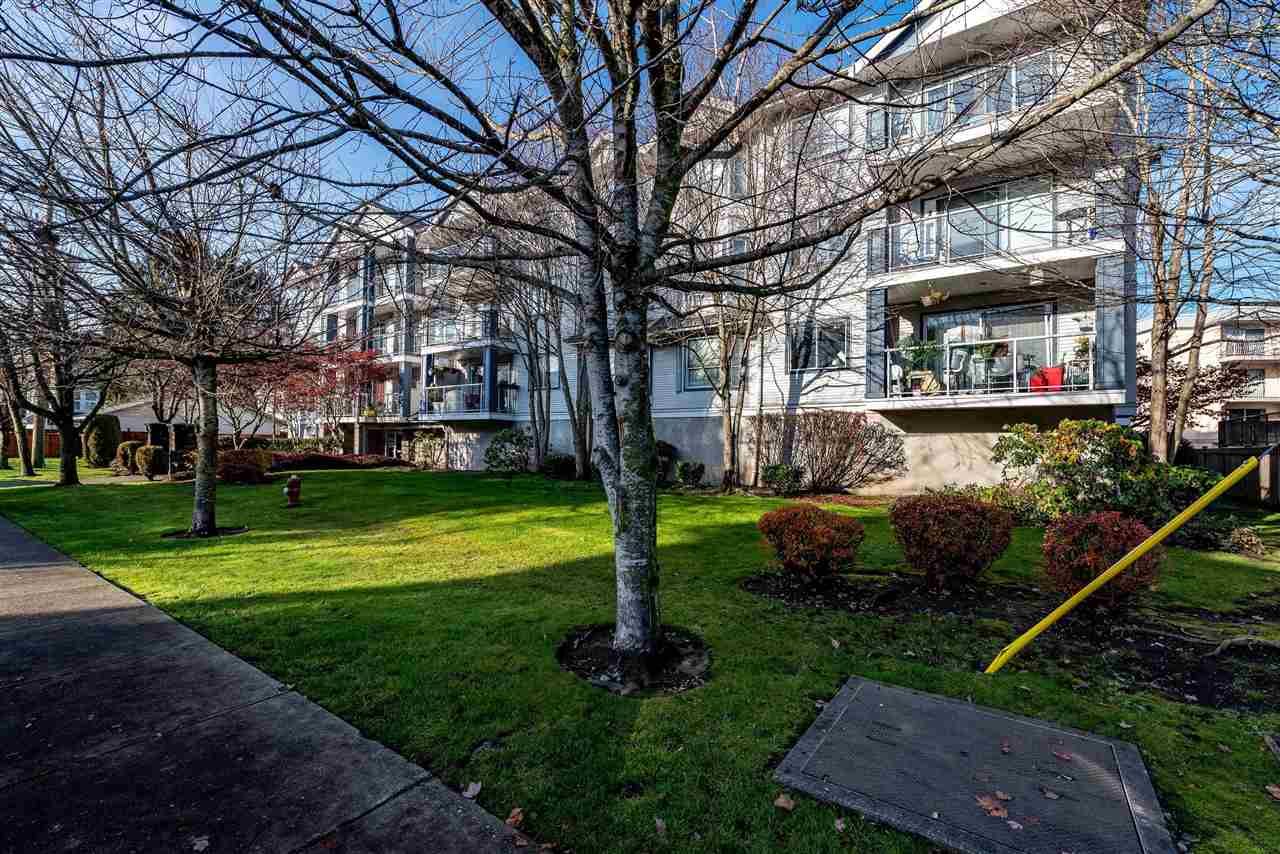 Main Photo: 312 20177 54A Avenue in Langley: Langley City Condo for sale in "STONEGATE" : MLS®# R2419590