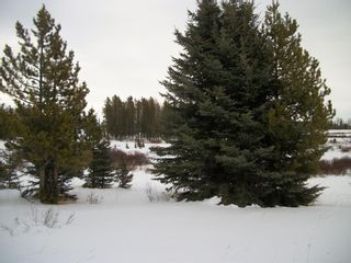 Photo 10: 345079 Range Road 65: Rural Clearwater County Residential Land for sale : MLS®# A2019216