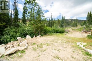 Photo 10: 369 BUCK Road in Oliver: Vacant Land for sale : MLS®# 200536