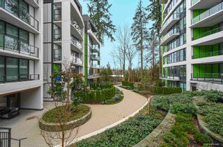Photo 29: 223 3563 ROSS Drive in Vancouver: University VW Condo for sale in "POLYGON NOBEL PARK RESIDENCES" (Vancouver West)  : MLS®# R2644524