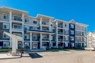 Main Photo: 214 300 Auburn Meadows Common SE in Calgary: Auburn Bay Apartment for sale : MLS®# A2048514