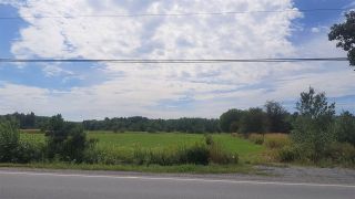 Photo 4: Lot Brooklyn Road in Middleton: 400-Annapolis County Commercial for sale (Annapolis Valley)  : MLS®# 201920421