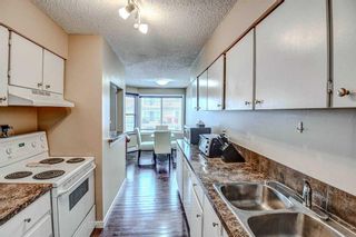 Photo 5: 303 630 57 Avenue SW in Calgary: Windsor Park Apartment for sale : MLS®# A2120444