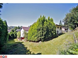 Photo 10: 2822 MCBRIDE Street in Abbotsford: Abbotsford East House for sale : MLS®# F1220592