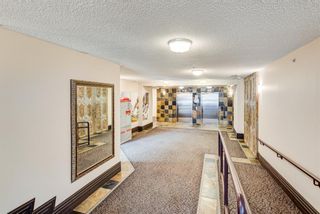 Photo 29: 318 126 14 Avenue SW in Calgary: Beltline Apartment for sale : MLS®# A1235950