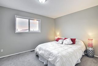 Photo 18: 165 Appleside Close SE in Calgary: Applewood Park Detached for sale : MLS®# A1136697