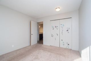 Photo 16: 3719 28 Street SE in Calgary: Dover Detached for sale : MLS®# A1040737