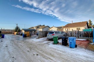 Photo 37: 3727 44 Avenue NE in Calgary: Whitehorn Detached for sale : MLS®# A1172903