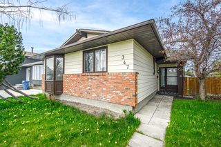 Photo 41: 347 Templevale Place NE in Calgary: Temple Detached for sale : MLS®# A2132443