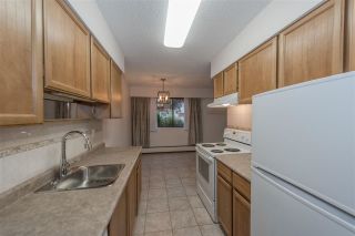 Photo 6: 102 7180 LINDEN Avenue in Burnaby: Highgate Condo for sale in "LINDEN HOUSE" (Burnaby South)  : MLS®# R2166641