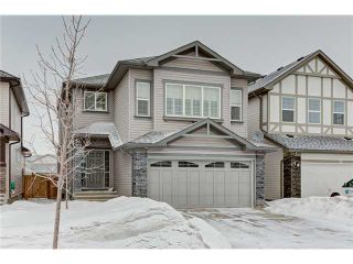 Main Photo: 48 BRIGHTONCREST Common SE in CALGARY: New Brighton Residential Detached Single Family for sale (Calgary)  : MLS®# C3602966