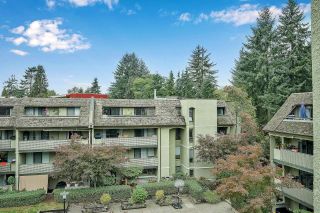 Photo 18: 416 1210 PACIFIC Street in Coquitlam: North Coquitlam Condo for sale : MLS®# R2821421