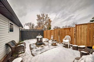 Photo 47: 3431 32A Avenue SE in Calgary: Dover Detached for sale : MLS®# A2126947