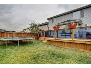 Photo 45: 43 BRIGHTONSTONE Grove SE in Calgary: New Brighton House for sale : MLS®# C4085071