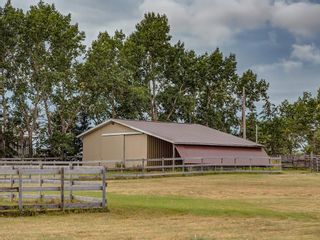 Photo 39: 244083 Range Road 255: Rural Wheatland County Detached for sale : MLS®# C4261442