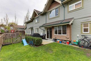 Photo 24: 33 22977 116 Avenue in Maple Ridge: East Central Townhouse for sale in "Duet" : MLS®# R2572919