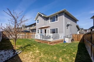 Photo 30: 302 Evanspark Circle NW in Calgary: Evanston Detached for sale : MLS®# A2044941
