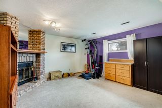 Photo 11: 72 Applewood Drive SE in Calgary: Applewood Park Detached for sale : MLS®# A1219112