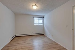 Photo 12: 103 1735 11 Avenue SW in Calgary: Sunalta Apartment for sale : MLS®# A2102771