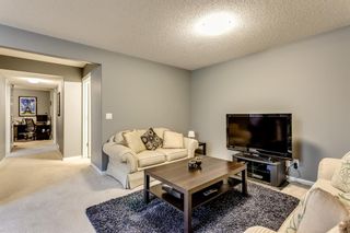 Photo 40: 66 Skyview Point Rise NE in Calgary: Skyview Ranch Detached for sale : MLS®# A1212489