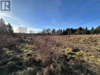 Photo 3: Lot 1 Old 329 Highway in Bayswater: Vacant Land for sale : MLS®# 202325483